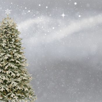 Sapin sous la neige Yoelys Noël 2018